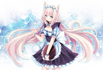 Картинка аниме nekopara взгляд девушка фон
