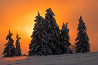 Картинка природа зима рассвет