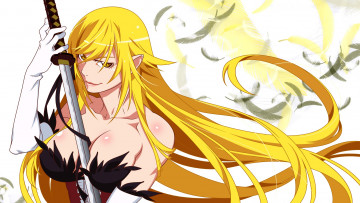 обоя аниме, bakemonogatari, oshino, shinobu