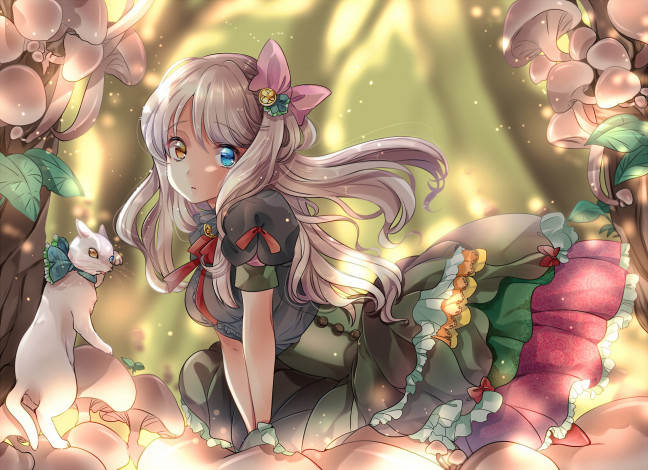 Обои картинки фото аниме, животные,  существа, девушка, фон, взгляд