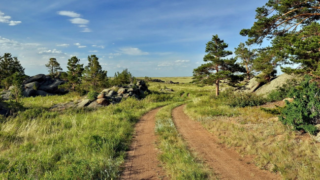 Обои картинки фото природа, дороги, дорога