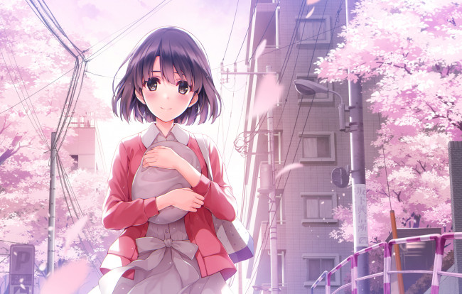 Обои картинки фото аниме, saenai heroine no sodatekata, katou, megumi