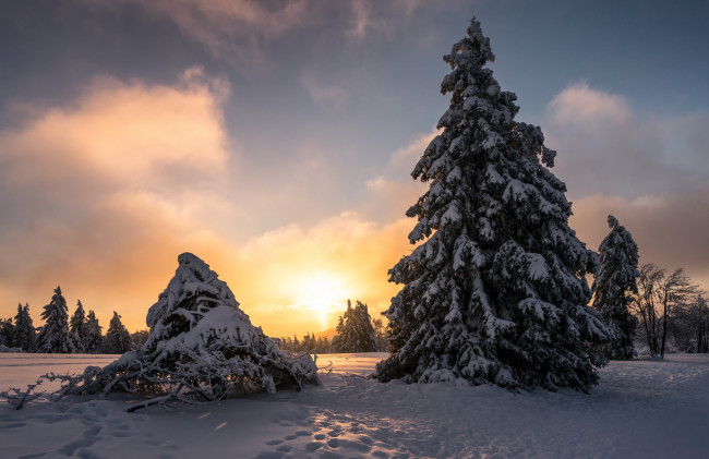 Обои картинки фото природа, зима, рассвет