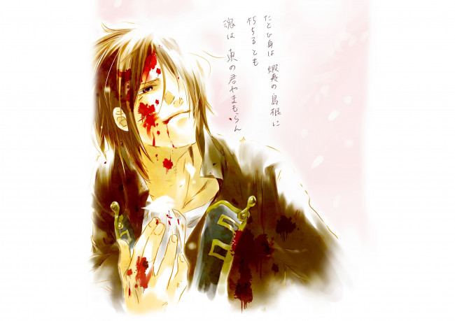 Обои картинки фото аниме, hakuouki, shinsengumi, kitan