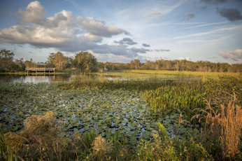 Картинка природа реки озера простор