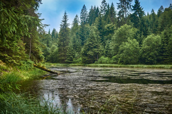 Картинка природа реки озера простор