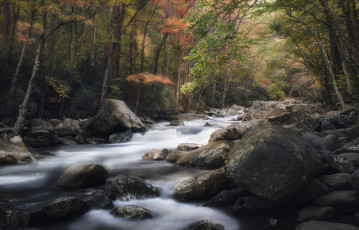 Картинка природа реки озера простор