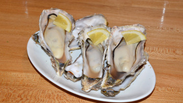 Картинка еда рыба +морепродукты +суши +роллы снедь