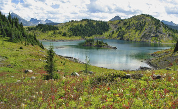 Картинка природа реки озера простор