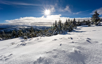 Картинка природа зима простор