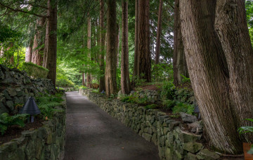 Картинка природа дороги простор