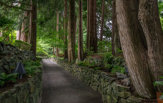 Обои картинки фото природа, дороги, простор