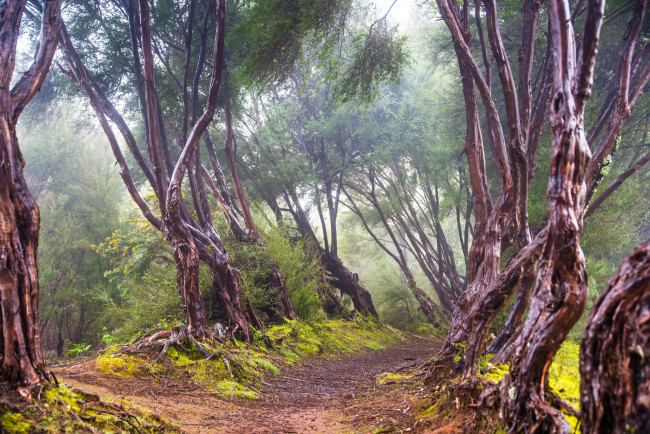 Обои картинки фото природа, дороги, простор