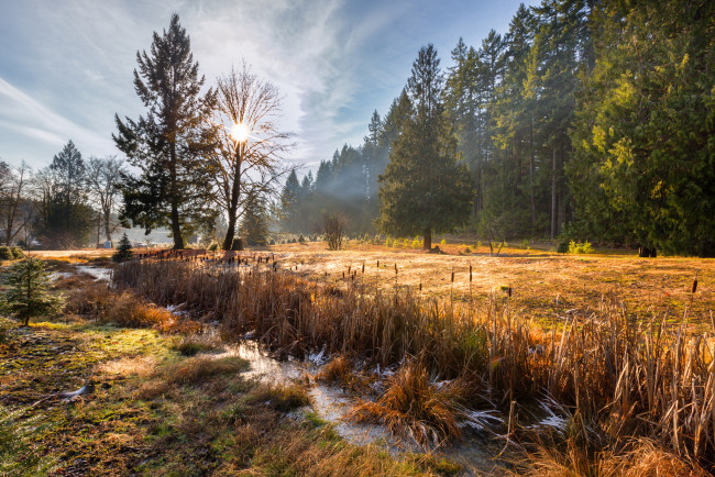 Обои картинки фото природа, пейзажи, простор