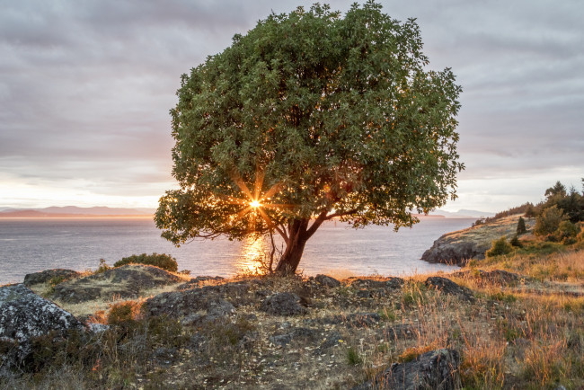 Обои картинки фото природа, побережье, простор