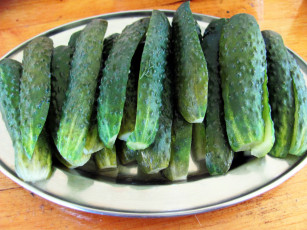 Картинка еда огурцы малосольные огурчики