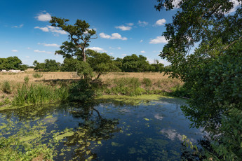 Картинка природа реки озера простор