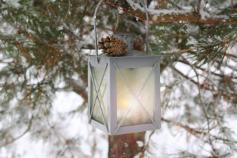 Картинка природа шишки +жёлуди +каштаны шишка сосна снег фонарь