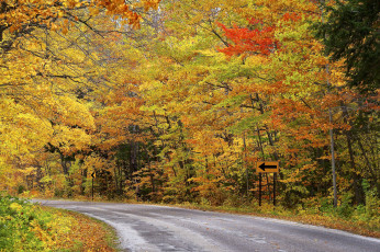 Картинка природа дороги простор