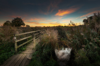 Картинка природа дороги простор