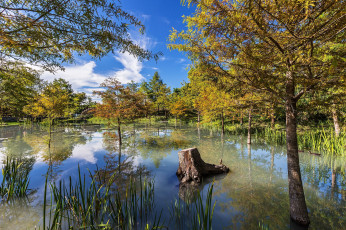 Картинка природа реки озера простор