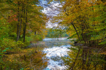 Картинка природа реки озера простор