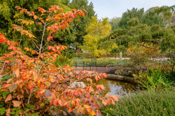 Картинка природа реки озера простор