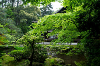 Картинка природа парк японский садик