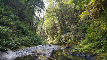 Картинка природа реки озера простор