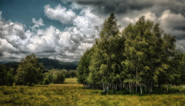 Картинка природа пейзажи простор