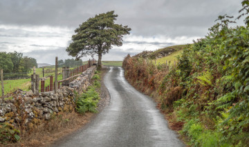 Картинка природа дороги простор