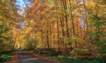 Картинка природа дороги простор