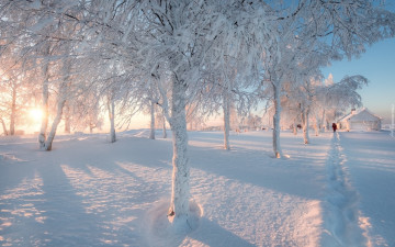 Картинка природа зима деревья снег