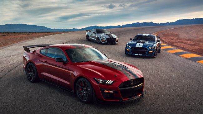 Обои картинки фото 2020 ford mustang shelby gt500, автомобили, mustang, shelby, ford, купе, форд, трек, gt500, 2020