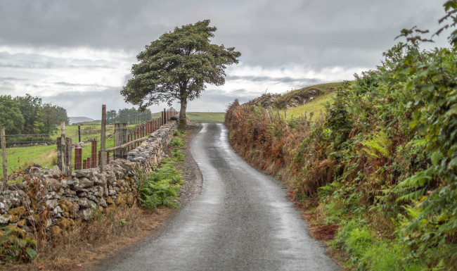 Обои картинки фото природа, дороги, простор