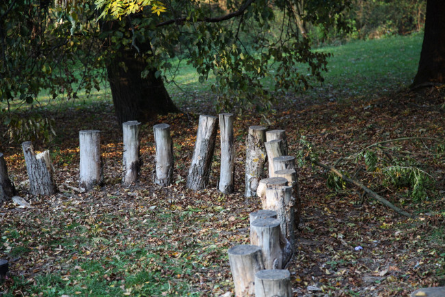 Обои картинки фото природа, парк, осень