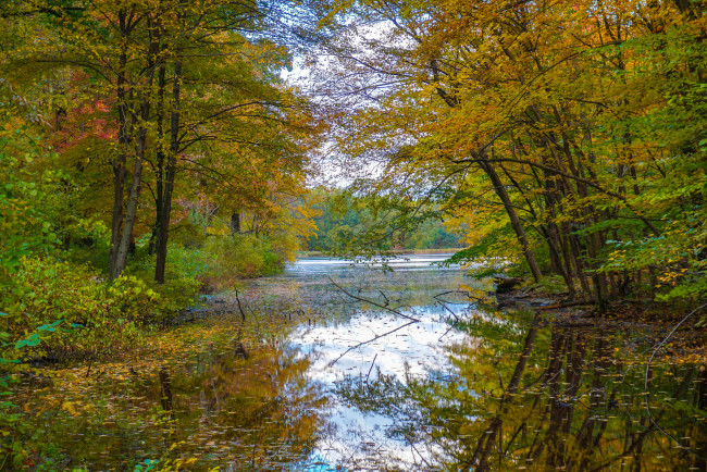 Обои картинки фото природа, реки, озера, простор