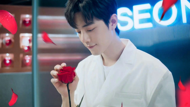 Обои картинки фото мужчины, xiao zhan, актер, роза