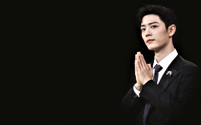 Обои картинки фото мужчины, xiao zhan, актер, пиджак, брошь