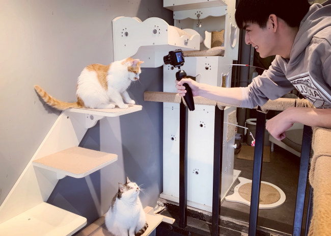 Обои картинки фото мужчины, wang hao xuan, ван, хаосюань, wang, hao, xuan