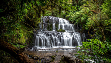 Картинка purakaunui+falls new+zealand природа водопады purakaunui falls new zealand
