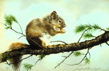 обоя рисованное, животные,  белки, белка, ветка