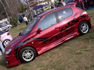 Картинка peugeot 206si автомобили