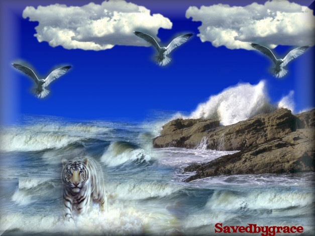 Обои картинки фото разное, компьютерный, дизайн