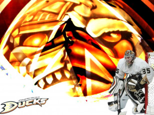 Картинка duck спорт nhl