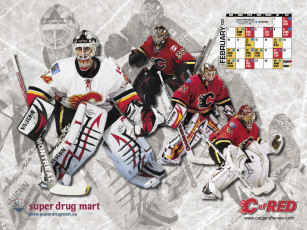 Картинка спорт nhl