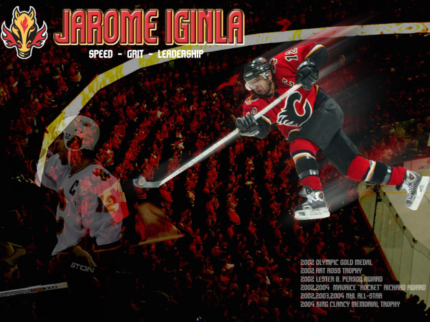 Обои картинки фото ingla, спорт, nhl