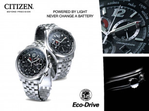 Картинка бренды citizen