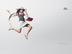 Картинка бренды lacoste