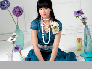 обоя si, бренды